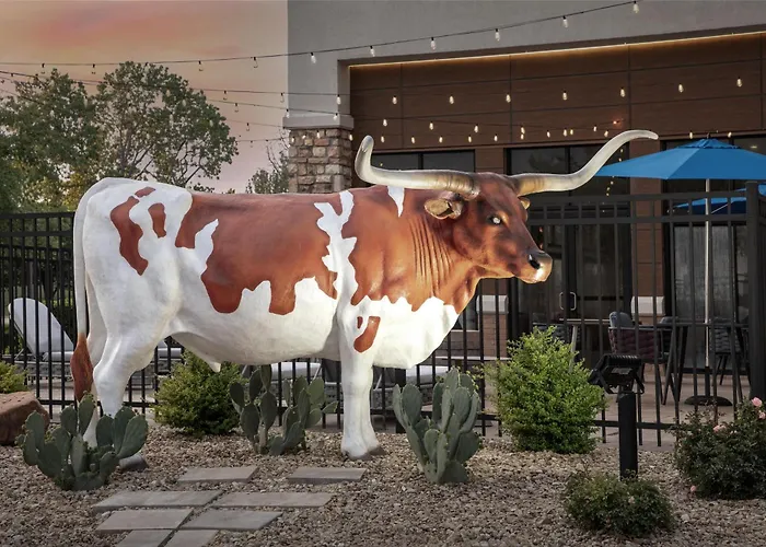 Hampton Inn & Suites Dallas-Dfw Airport Hurst